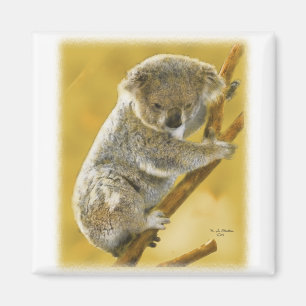Aimant Ours de koala