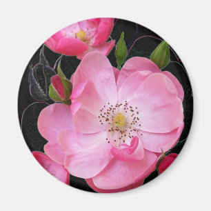 Aimant ouverture de minuscule rosebud