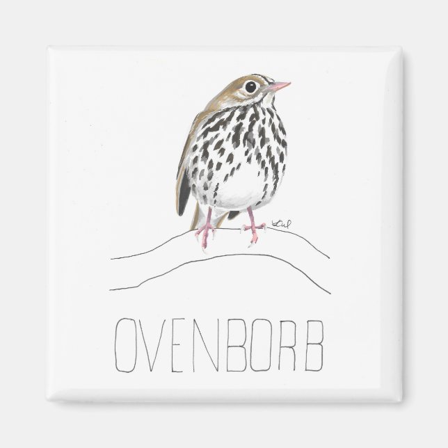Aimant Ovenborb (Ovenbird) (Devant)
