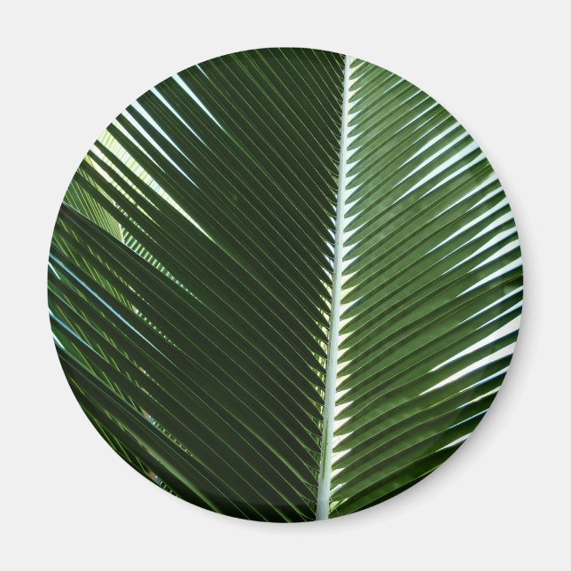 Aimant Overlapping Palm Fronds Tropical Green Abstract (Devant)