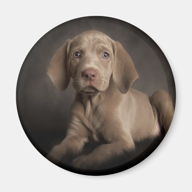 Aimant Oyeux bleus (Devant)