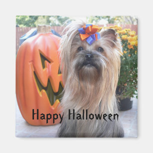 Aimant P1080884, Halloween heureux