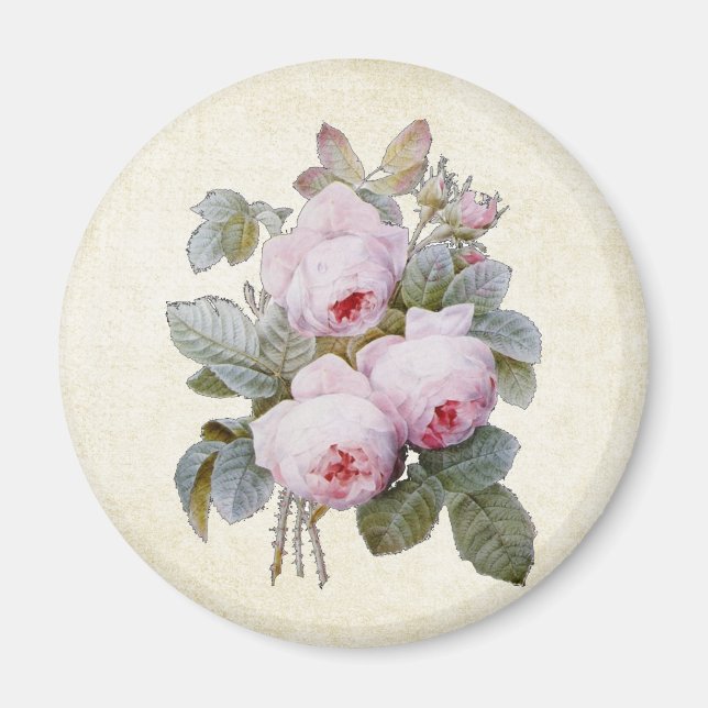 Aimant P.J. Redoute Bourbon Rose Bouquet (Devant)