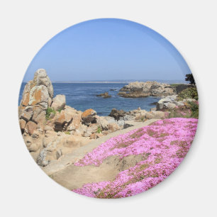 Aimant Pacific Grove