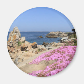Aimant Pacific Grove