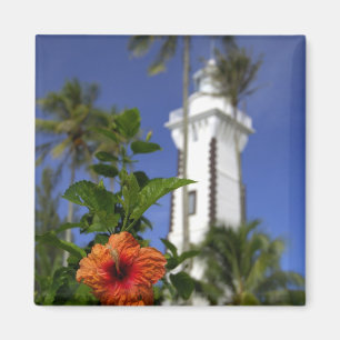 Aimant Pacifique Sud, Polynésie française, Tahiti. Hibisc