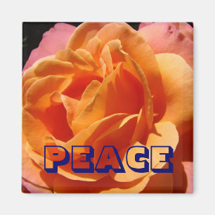 aimant PAIX Rose Orange Fleur nature