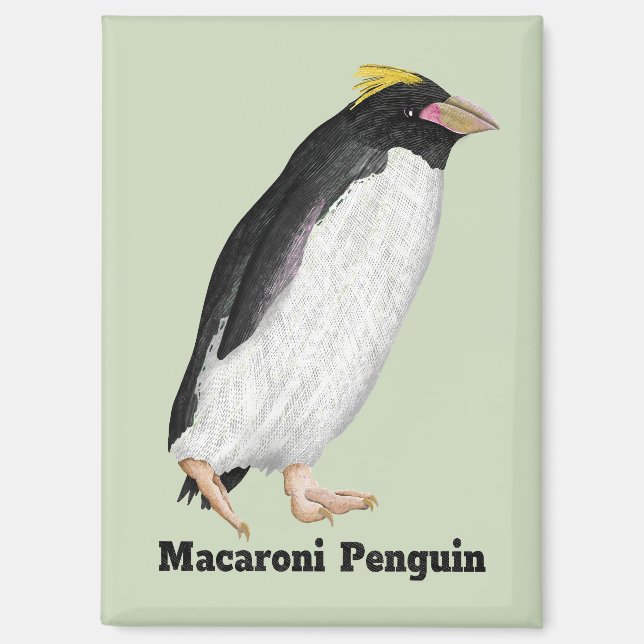 Aimant Palaeeudyptes Pingouin disparu (Recto)