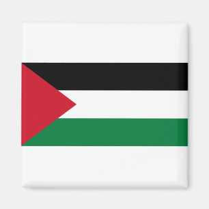 Aimant Palestine Flag