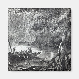 Aimant Palétuvier Forest