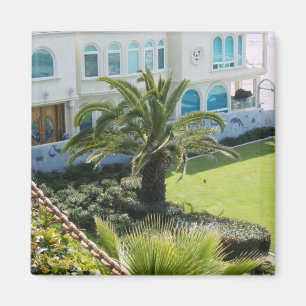 Aimant Palm à Oceanside CA
