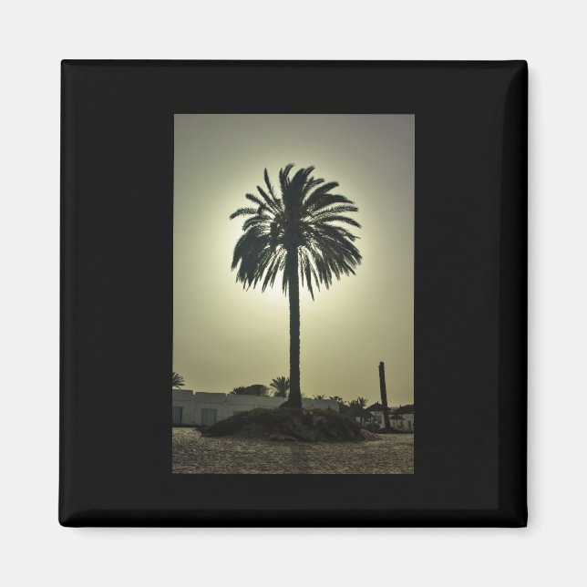 Aimant Palm ensoleillé (Devant)