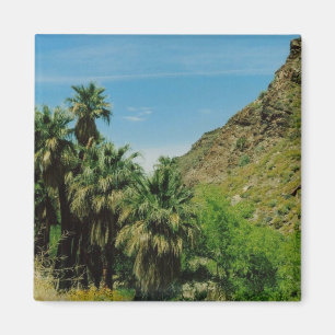 Aimant Palm Springs