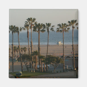 Aimant Palmiers dans l'aimant de Santa Monica
