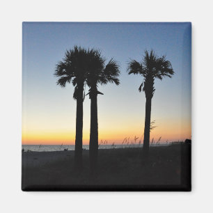 Aimant Palmiers d'île de Captiva à l'aimant de la Flori