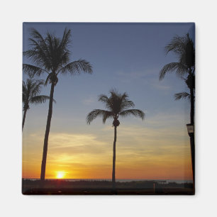 Aimant Palmiers et coucher de soleil, Mindil Beach