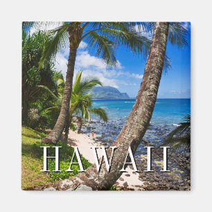 Aimant Palmiers le long de Hideaways Beach