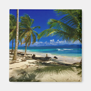 Aimant Palmiers tropicaux San Blas Panama Sandy Beach Isl