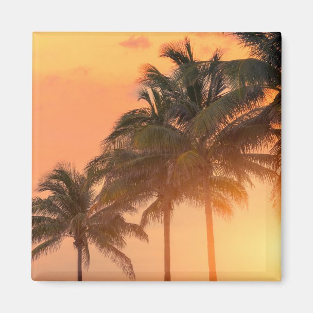 Aimant Palms de Miami (Devant)
