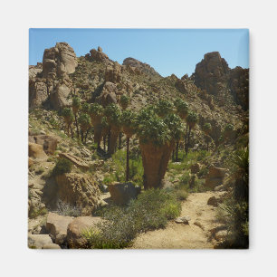 Aimant Palms perdus Oasis II au parc national de Joshua T