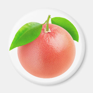 Aimant Pamplemousse