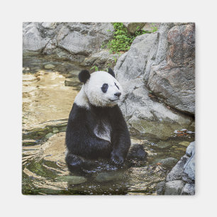 Aimant Panda géant