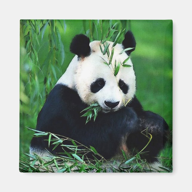 Aimant Panda Manger Feuilles (Devant)