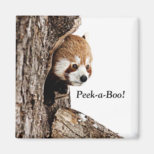 Aimant Panda rouge jouant Peek-a-Boo ! (Devant)