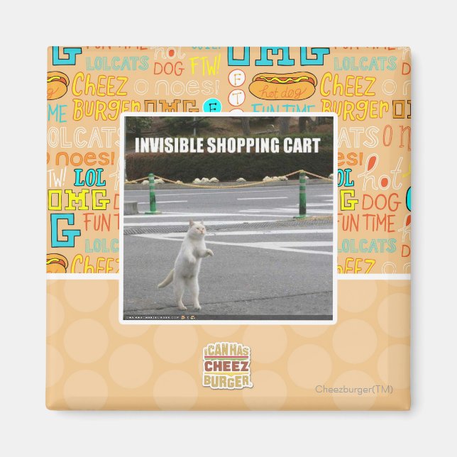 AIMANT PANIER INVISIBLE (Devant)