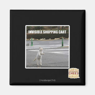 AIMANT PANIER INVISIBLE