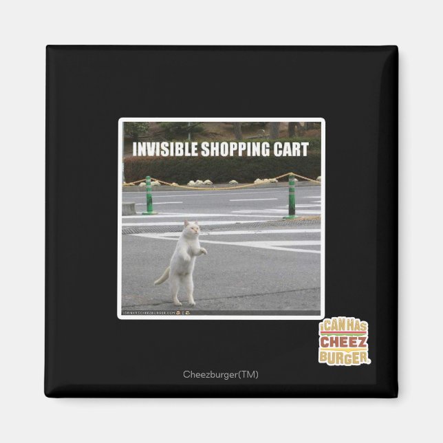 AIMANT PANIER INVISIBLE (Devant)