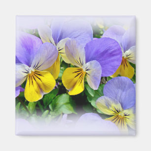 Aimant Pansies jaune et violet