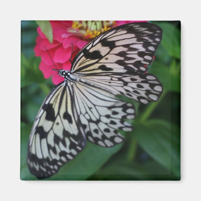 Aimant Paperkite papillon (Devant)