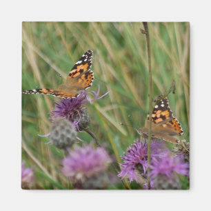 Aimant Papillon