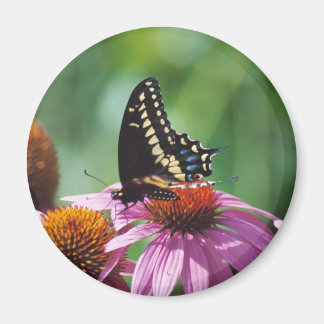 Aimant Papillon