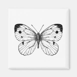 Aimant Papillon à chou