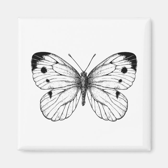 Aimant Papillon à chou (Devant)