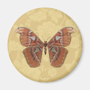 Aimant Papillon assez Brown sur la flore beige Vintage