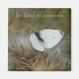 Aimant Papillon blanc - Aimer les animaux