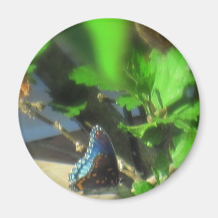 Aimant Papillon bleu