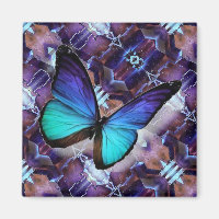 Papillon bleu magnétique sur fluorite