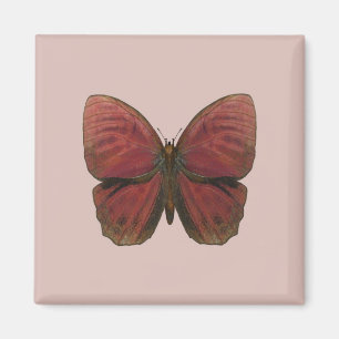 Aimant Papillon Coq Rouge