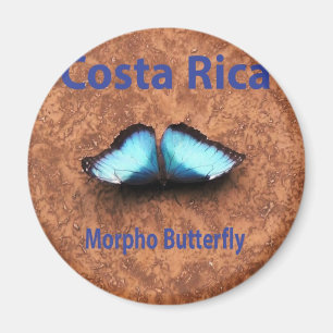 Aimant Papillon Costa Rica de Morpho
