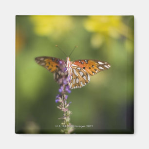 Aimant Papillon en fleur sauvage