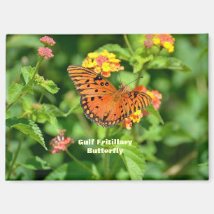 Aimant Papillon fritillaire du Golfe