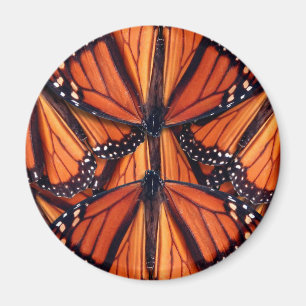 Aimant papillon monarque