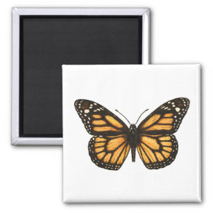 Aimant Papillon monarque