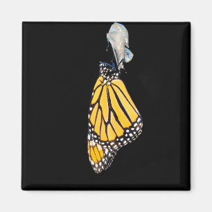 Aimant - Papillon monarque (2022)