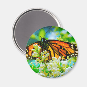 Aimant Papillon monarque orange photo audacieuse moderne