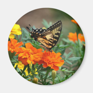 Aimant Papillon sur Fleurs Orange et Jaune